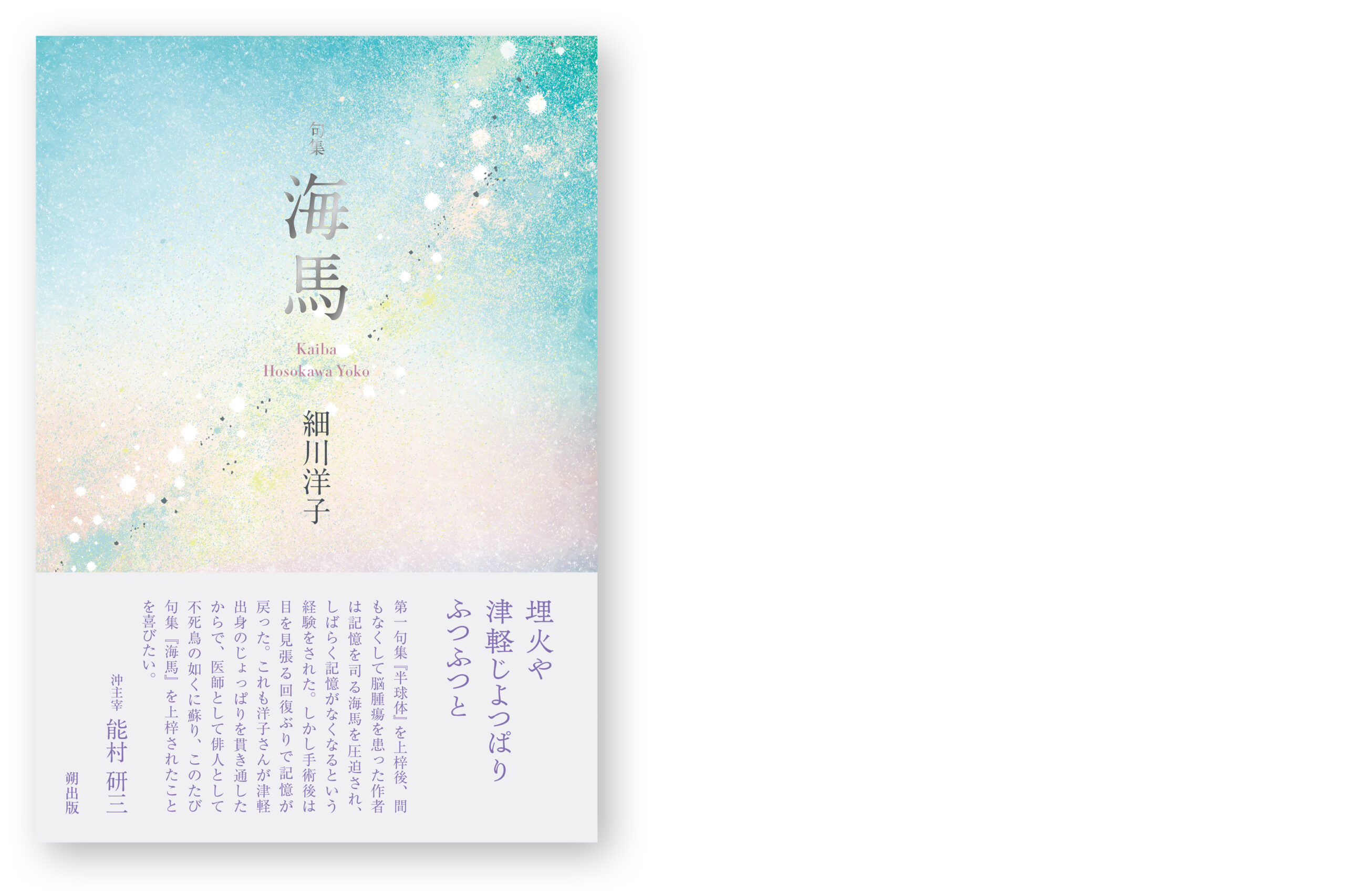 精選季題別蕪村秀句 (邑書林句集文庫 Y 3-1) Amazon.co.jp: 精選季題別蕪村秀句: 付・與謝蕪村を読むために